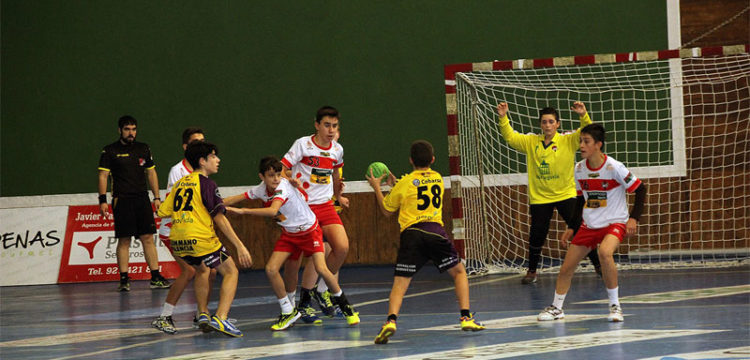 El Viveros Herol Bm Nava Partido Palencia