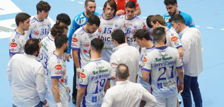 Cisne / Foto: Fernando